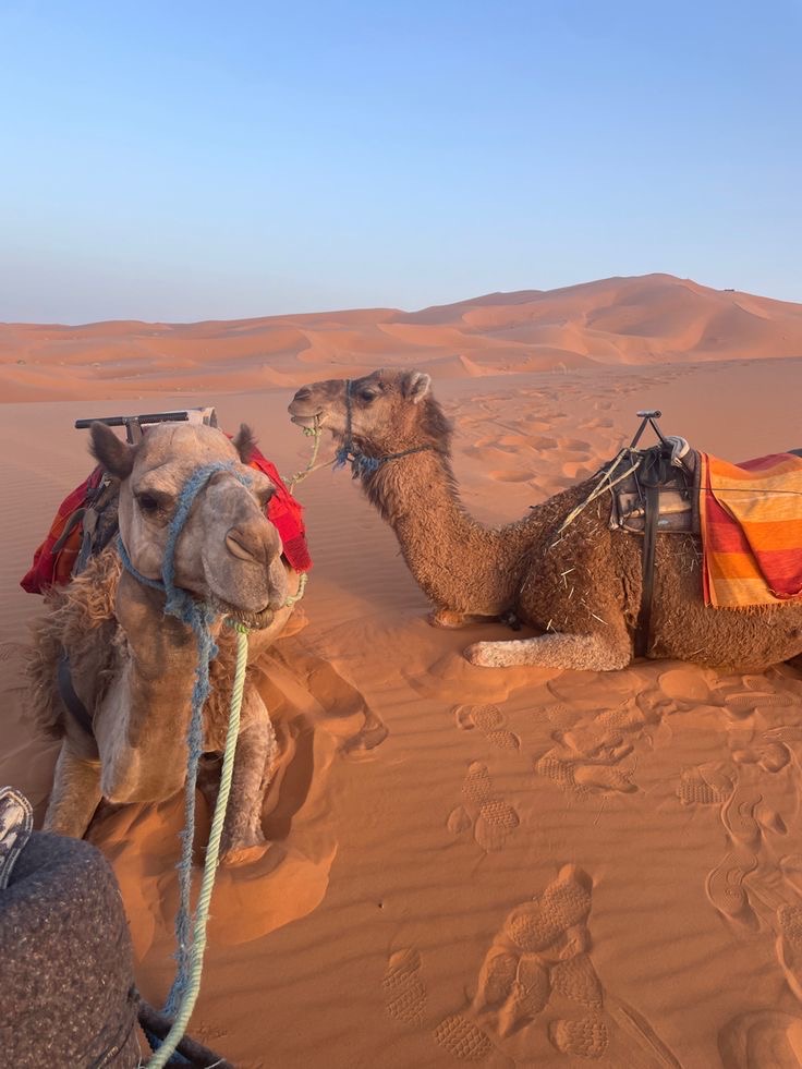 Book2Explore | Dubai Excursion Reservation
