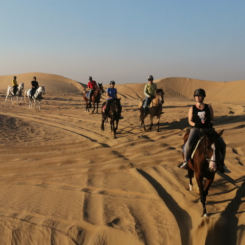 Book2Explore | Dubai Excursion Reservation